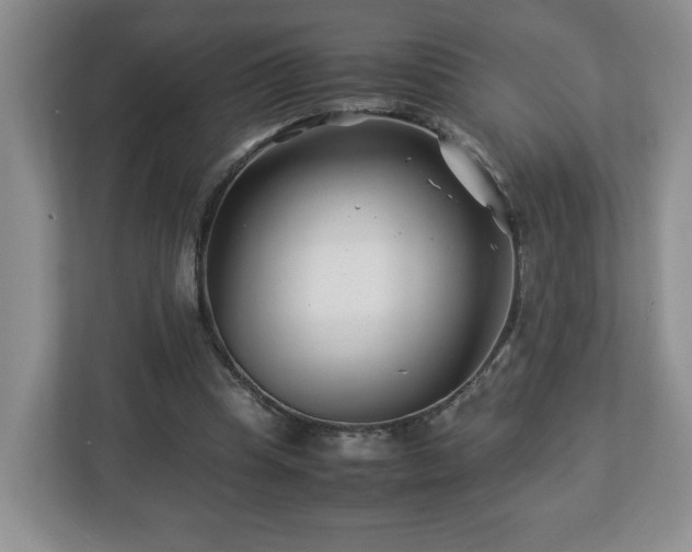 X0000113090345200909041153
