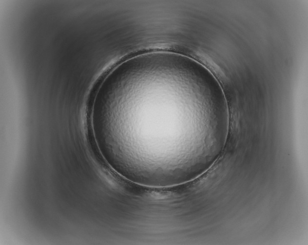 X0000113090346200909041153
