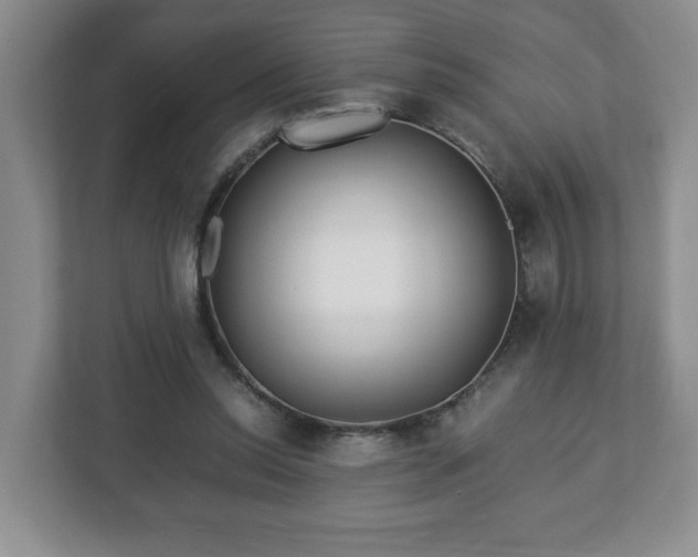 X0000113090350200909041154