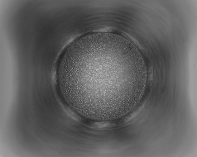 X0000113090351200909041154