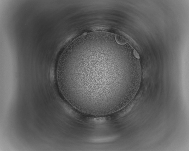 X0000113090353200909041154
