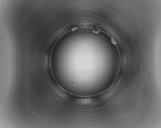 X0000113090361200909041154
