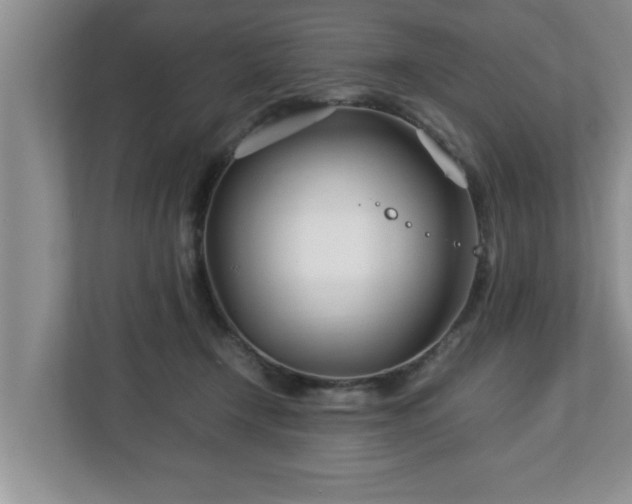 X0000113090366200909041154