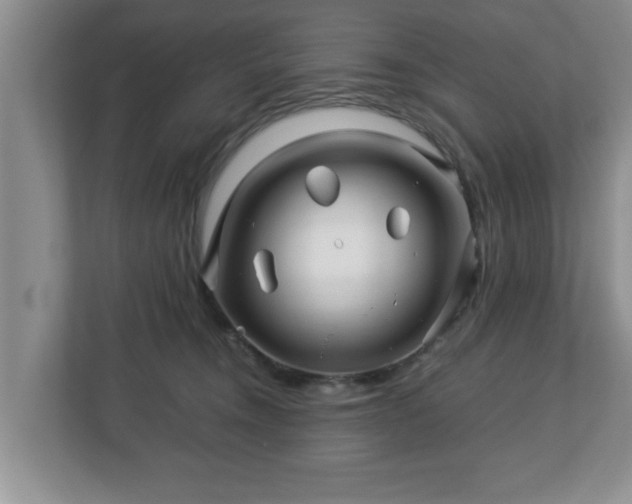 X0000113090372200909041154