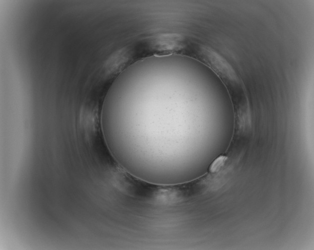 X0000113090376200909041154
