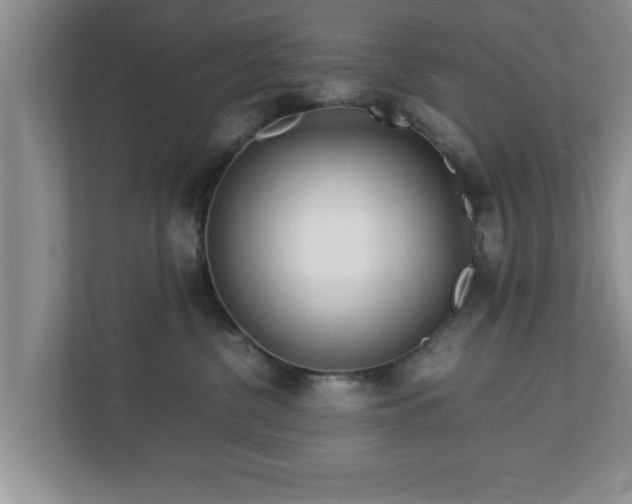 X0000113090380200909041154