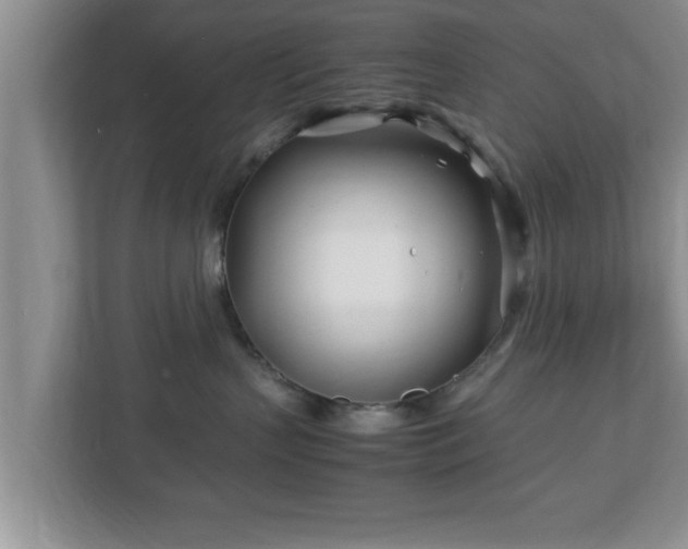 X0000113090383200909041154