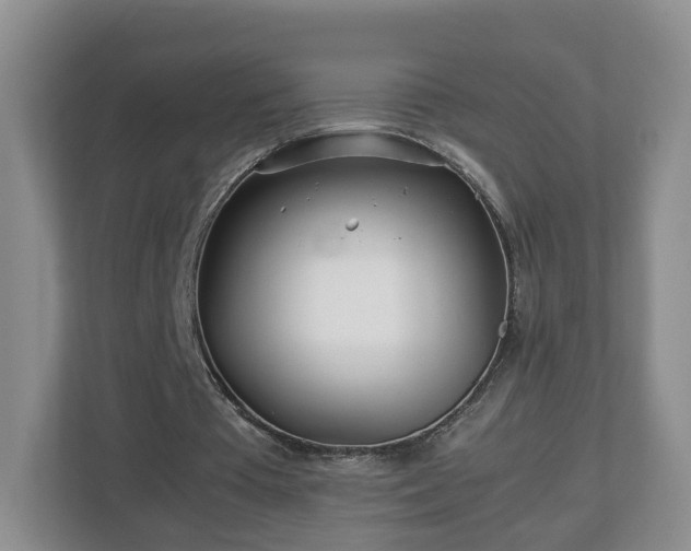 X0000113090385200909041153