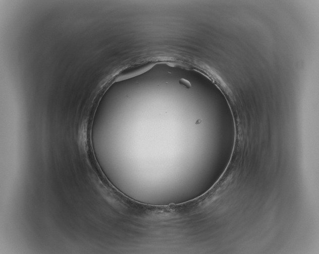 X0000113090386200909041153