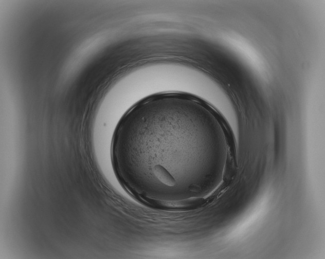 X0000113090387200909041153