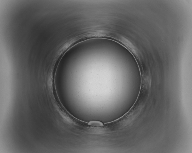 X0000113090389200909041153