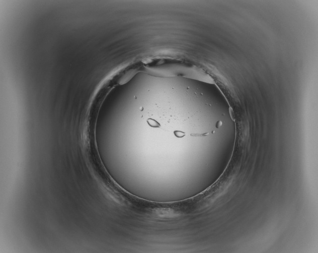 X0000113090392200909041153