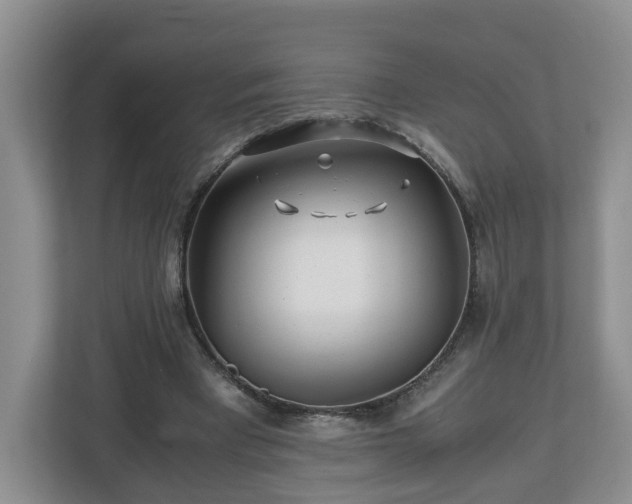 X0000113090393200909041153