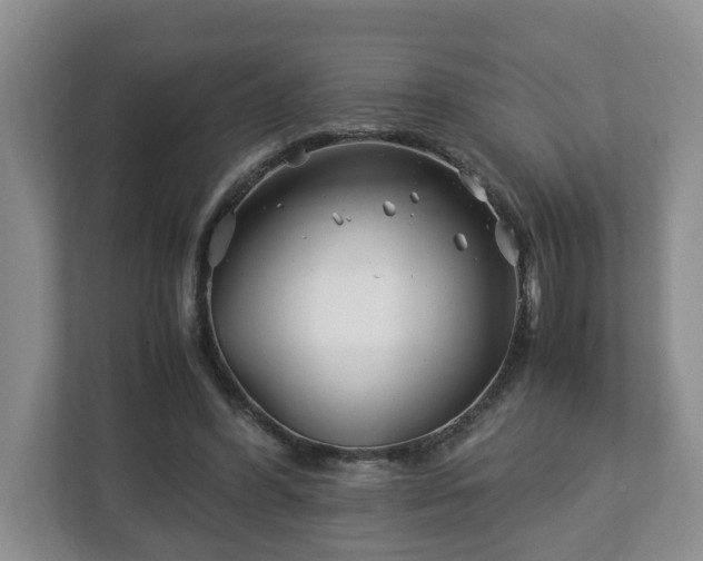 X0000113090396200909041153