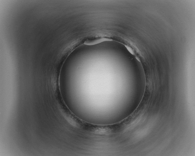 X0000113090402200909041153