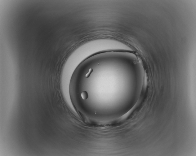 X0000113090411200909041153