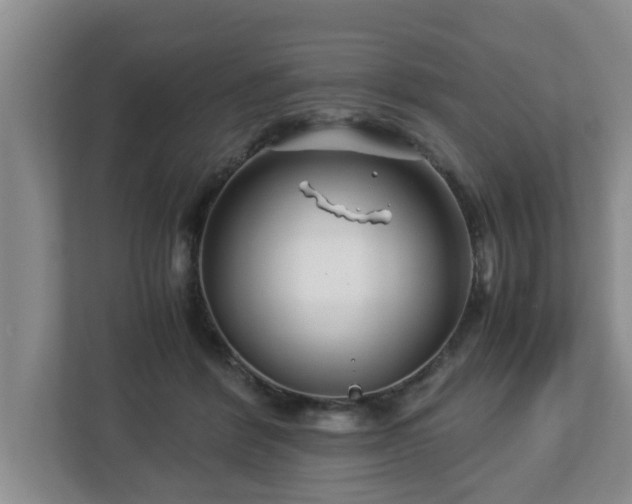 X0000113090412200909041153