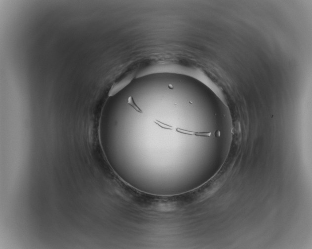 X0000113090416200909041153