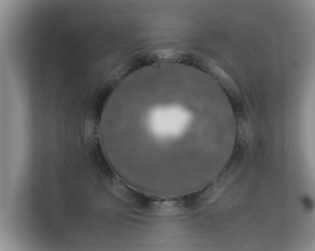 X0000113090419200909041153