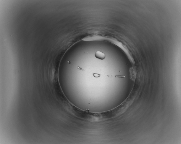 X0000113090420200909041153