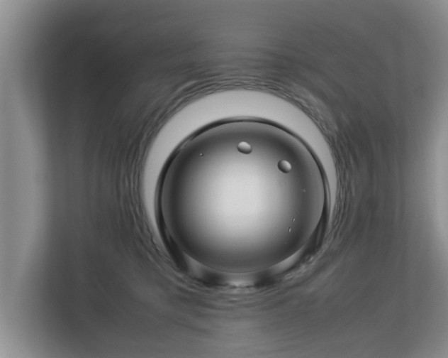 X0000113090421200909041153