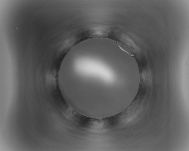 X0000113090423200909041153