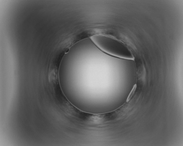 X0000113090425200909041153