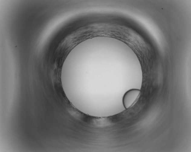 X0000113090431200909041153