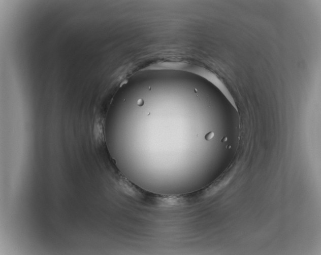 X0000113090432200909041153