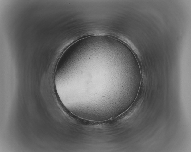 X0000113090433200909041152