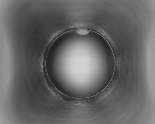 X0000113090434200909041152
