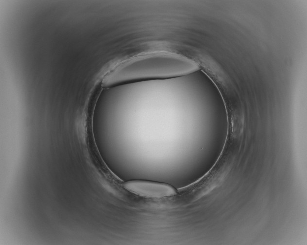 X0000113090436200909041152