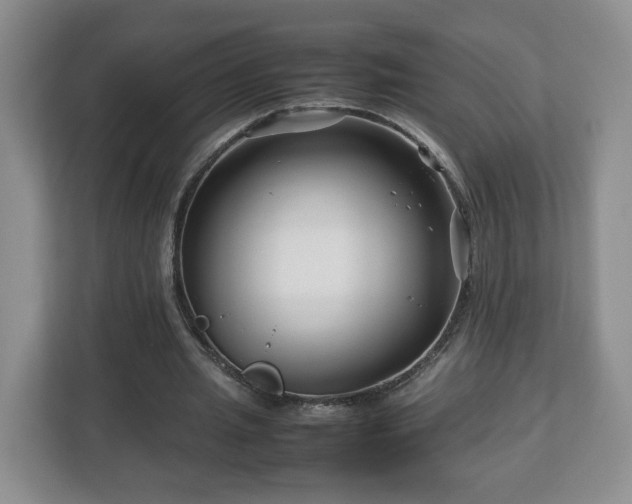 X0000113090437200909041152