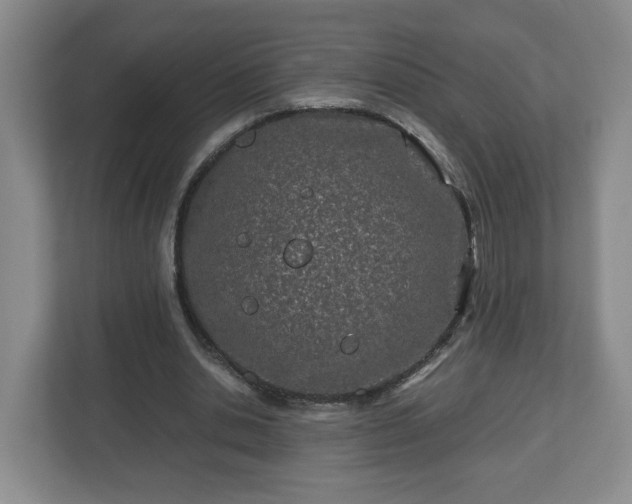 X0000113090438200909041152