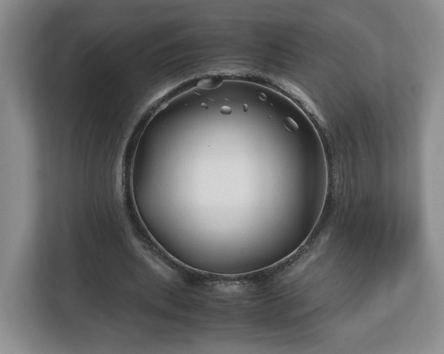 X0000113090439200909041152