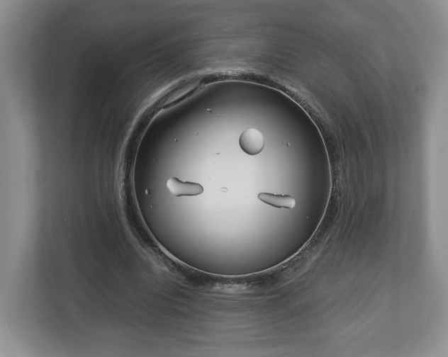 X0000113090440200909041152