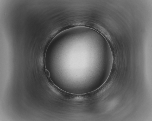 X0000113090441200909041152