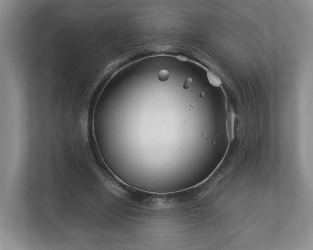 X0000113090442200909041152