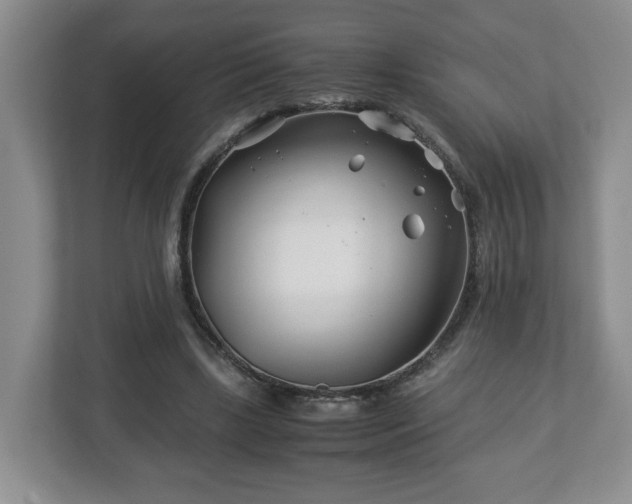 X0000113090443200909041152