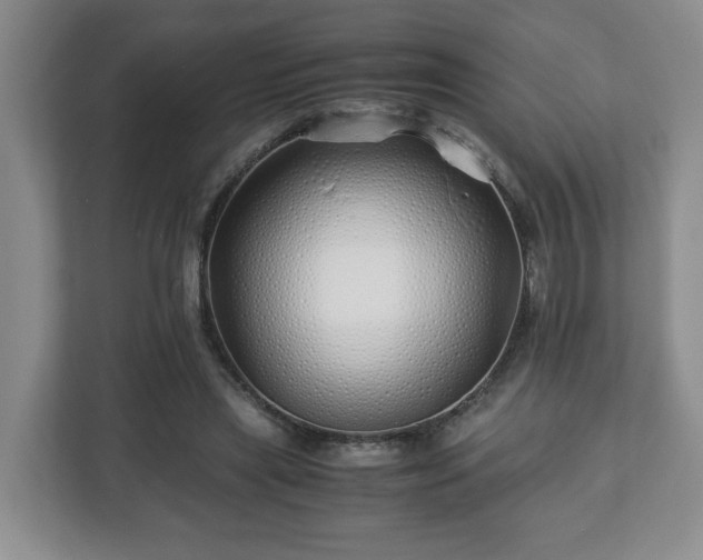 X0000113090445200909041152