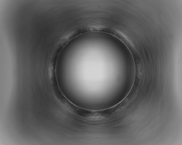 X0000113090451200909041152
