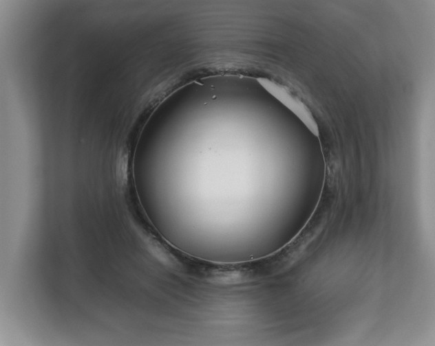 X0000113090454200909041152