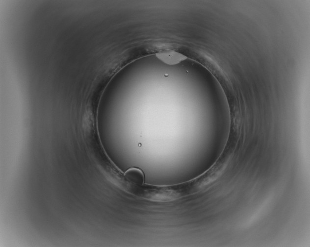 X0000113090459200909041152