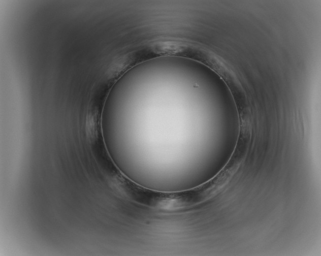 X0000113090460200909041152
