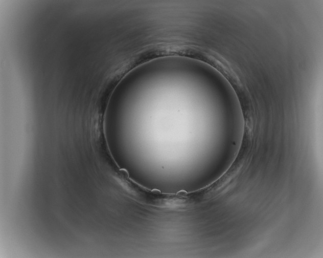 X0000113090462200909041152