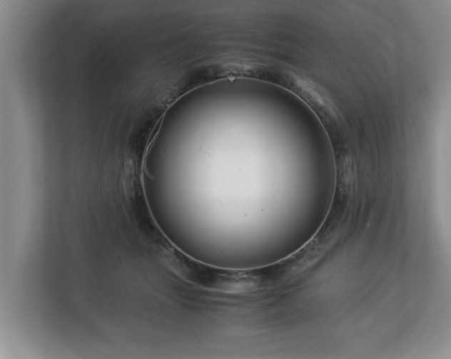 X0000113090463200909041152