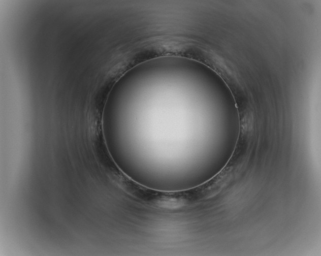 X0000113090464200909041152
