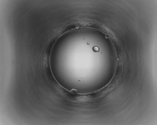 X0000113090465200909041152