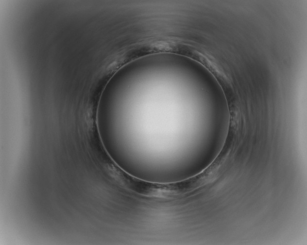 X0000113090466200909041152