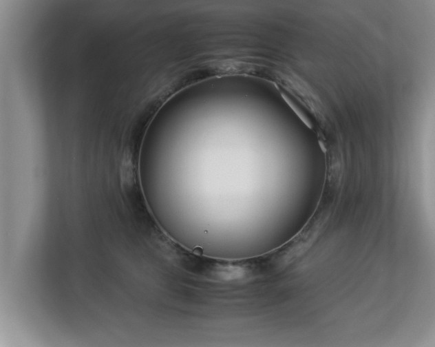X0000113090469200909041152